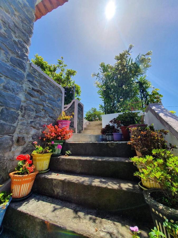 Casa Velha D Fernando E Casa Avo Augusta Hotel Рибейра Брава Екстериор снимка