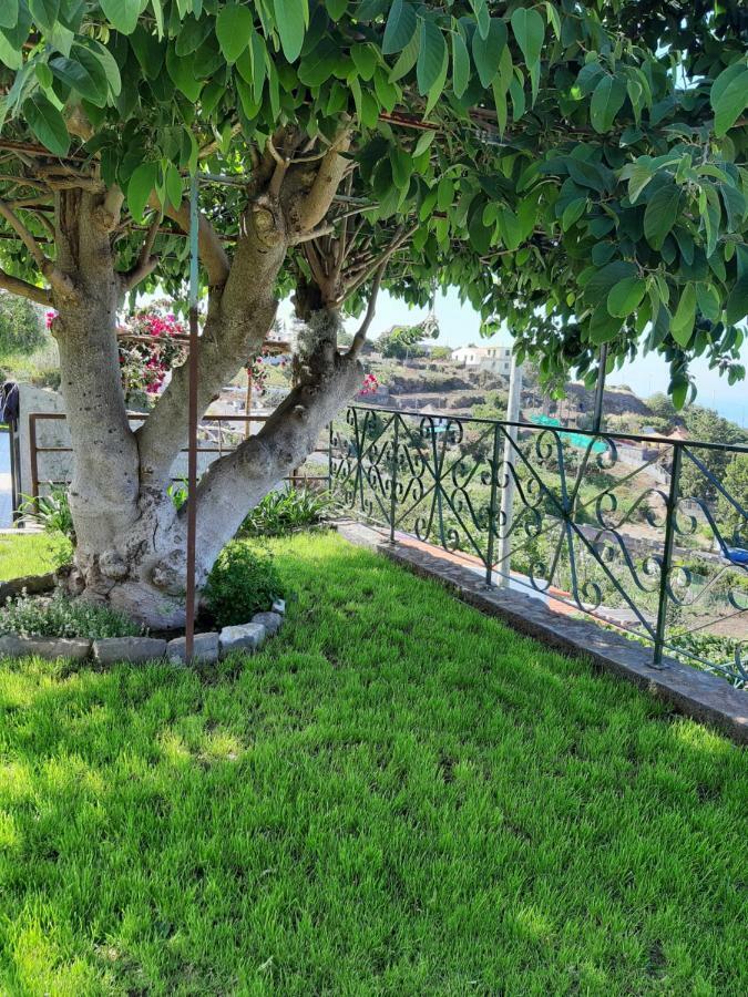Casa Velha D Fernando E Casa Avo Augusta Hotel Рибейра Брава Екстериор снимка